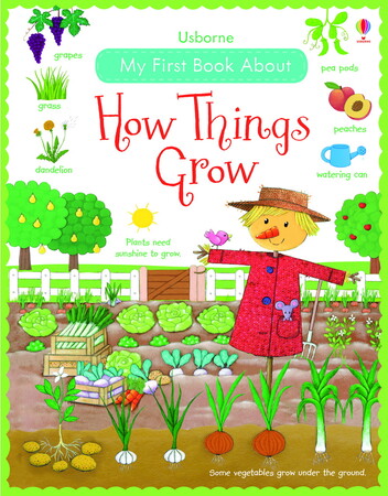 Книги для дітей: My First Book About How Things Grow - твёрдая обложка