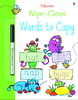 Wipe-clean Words to Copy with pen