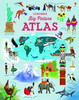 Big Picture Atlas [Usborne]