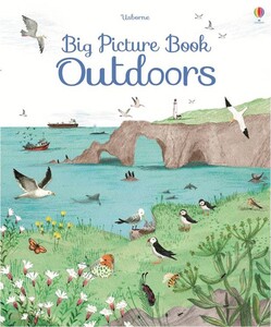 Книги для детей: Big Picture Book Outdoors [Usborne]