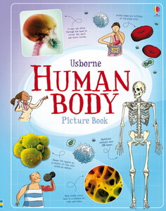 Книги про человеческое тело: Human Body Picture Book