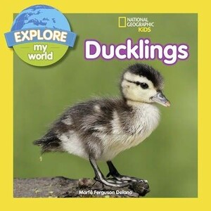Пізнавальні книги: Ducklings - Explore My World