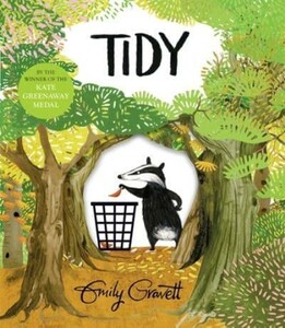 Книги для дітей: Tidy [Pan Macmillan]