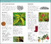 Herbal Remedies Handbook дополнительное фото 1.