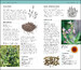 Herbal Remedies Handbook дополнительное фото 4.
