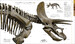 The Definitive Visual Guide: Dinosaurs and Prehistoric Life дополнительное фото 4.