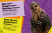 Star Wars Meet the Heroes Chewbacca дополнительное фото 3.