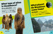 Star Wars Meet the Heroes Chewbacca дополнительное фото 4.
