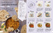 The Vegetarian Cookbook дополнительное фото 2.