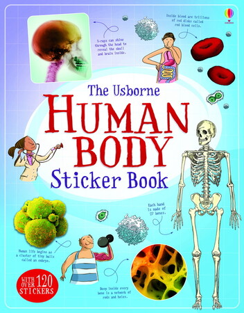 Для молодшого шкільного віку: Human Body Sticker Book