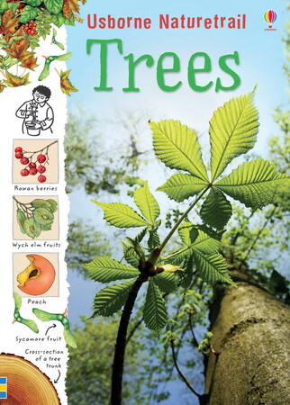 Для середнього шкільного віку: Naturetrail Trees
