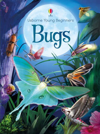 Книги для дітей: Bugs -Usborne