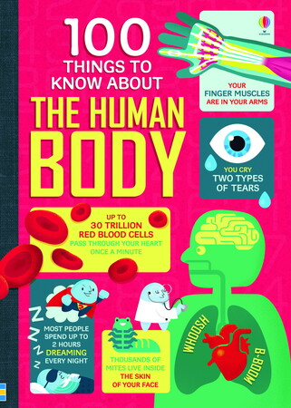 Для младшего школьного возраста: 100 Things to know about the Human Body [Usborne]