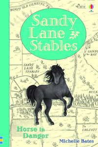 Книги для детей: Sandy Lane Stables Horse in Danger