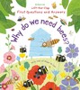 Why do we need bees? [Usborne]