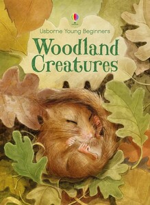 Книги про животных: Woodland Creatures [Usborne]