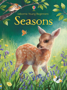 Пізнавальні книги: Seasons - Young beginners