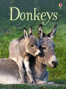 Книги про животных: Donkeys [Usborne]