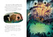 The Jungle Book - Usborne English Readers Level 3 дополнительное фото 1.