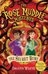 Художні книги: The Secret Ruby [Usborne]