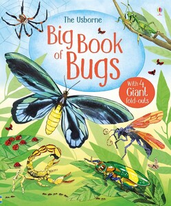Енциклопедії: Big book of bugs [Usborne]