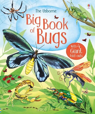 Животные, растения, природа: Big book of bugs [Usborne]