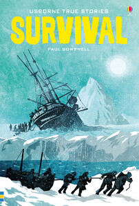 Художественные книги: True stories Survival