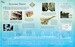 Titanic picture book дополнительное фото 2.