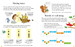 Recorder for beginners gift set дополнительное фото 2.