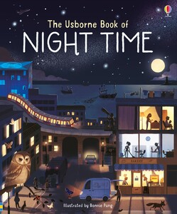 Пізнавальні книги: The Usborne book of night time