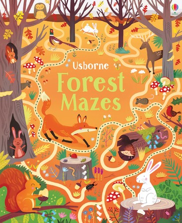 Книги с логическими заданиями: Forest Mazes [Usborne]