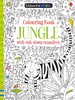 Colouring book jungle with rub-down transfers [Usborne]