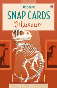 Книги с логическими заданиями: Museum snap