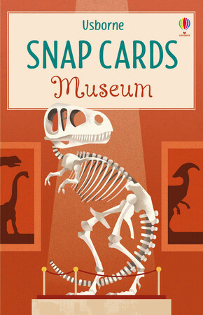 Развивающие карточки: Museum snap