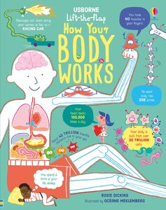 Книги про человеческое тело: Lift the Flap How Your Body Works [Usborne]