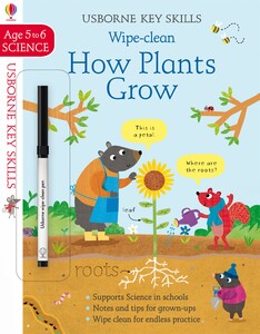 Книги с логическими заданиями: Wipe-Clean How Plants Grow 5-6 [Usborne]