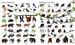 1000 animals - [Usborne] (9781474951340) дополнительное фото 1.