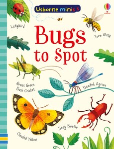 Книги для дітей: Bugs to Spot [Usborne]