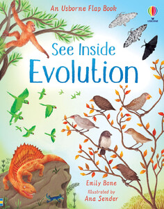 Інтерактивні книги: See Inside Evolution Flap Book [Usborne]