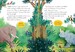 Spider's Tug of War [Usborne English Readers] дополнительное фото 3.