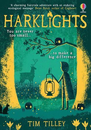 Художні книги: Harklights [Usborne]