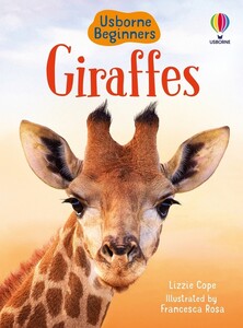 Книги для дітей: Giraffes [Usborne]