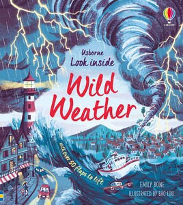 Пізнавальні книги: Look Inside Wild Weather [Usborne]