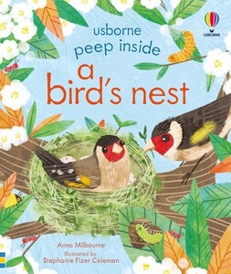 Тварини, рослини, природа: Peep Inside a Bird's Nest [Usborne]