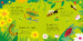 Настольная игра Bugs Matching Games в комплекте с книгой [Usborne] дополнительное фото 1.