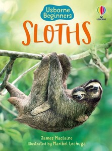 Пізнавальні книги: Sloths [Usborne]