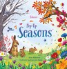 Pop-Up Seasons [Usborne]