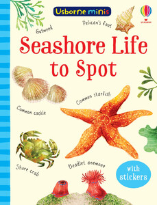 Книги про животных: Seashore Life to Spot with Stickers [Usborne]