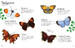 Butterflies to Spot with Stickers [Usborne] дополнительное фото 1.