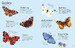 Butterflies to Spot with Stickers [Usborne] дополнительное фото 2.
